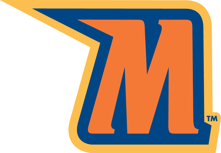 Morgan State Bears 2002-Pres Alternate Logo v3 iron on transfers for clothing